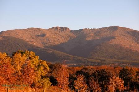 Otoño mujer muerta